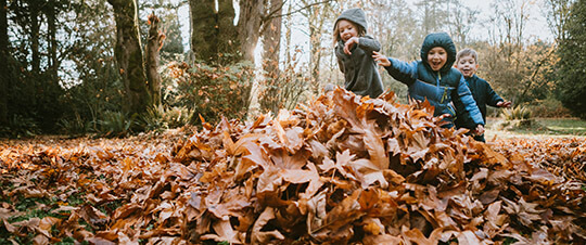 Kids jumping into a big fall leaf pile
